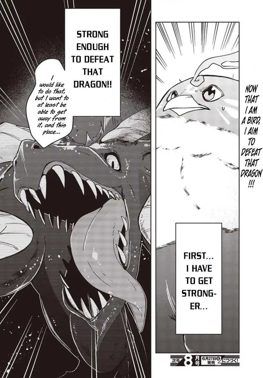 Reborn as a Phoenix: A Normal Bird Can't Beat a Dragon, Right? Chapter 2 27